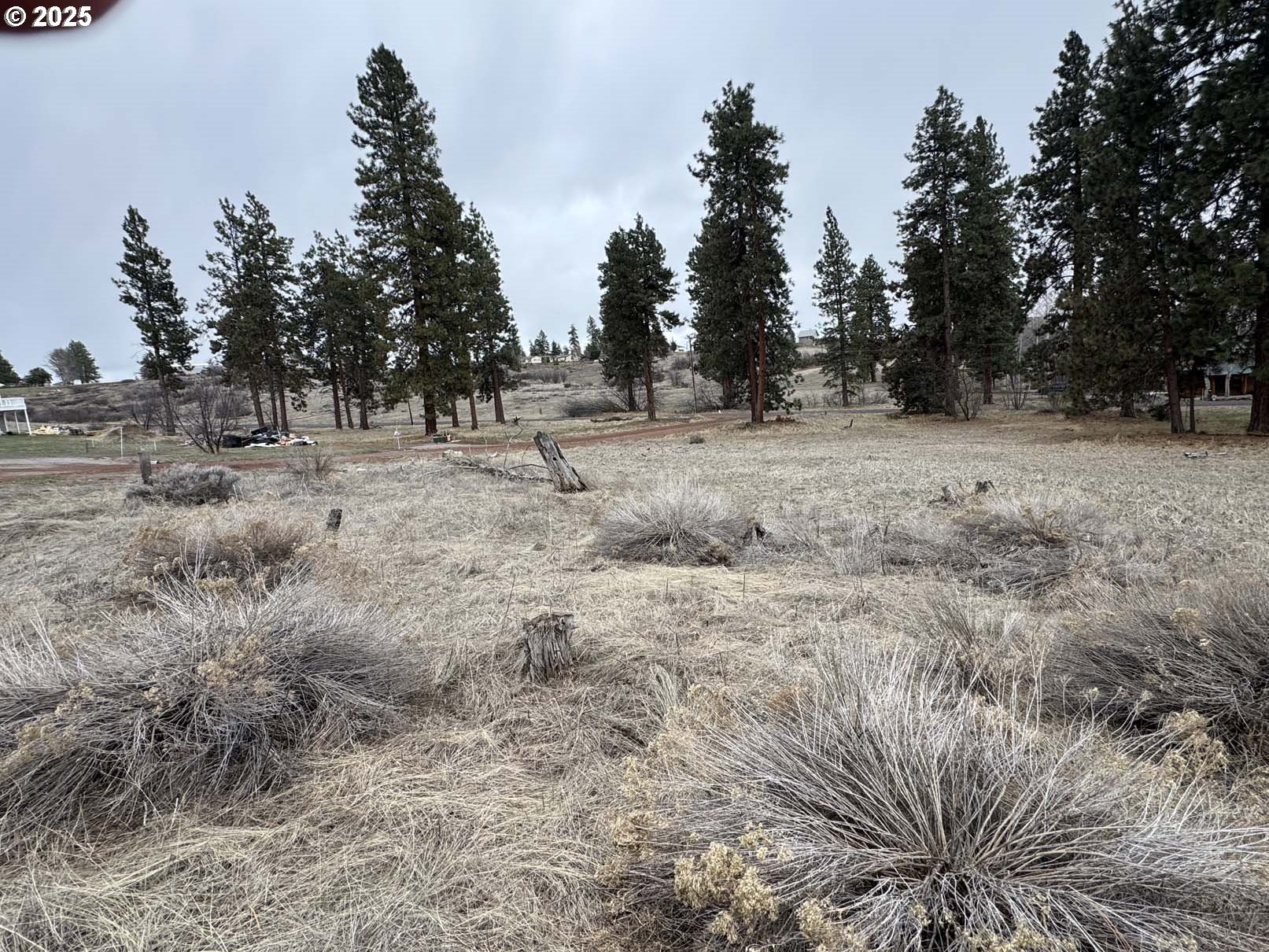 Deerwood Circle, Unit L8 Chiloquin, OR 97624 - Photo 25 of 25 a view of dirt field with trees in the background