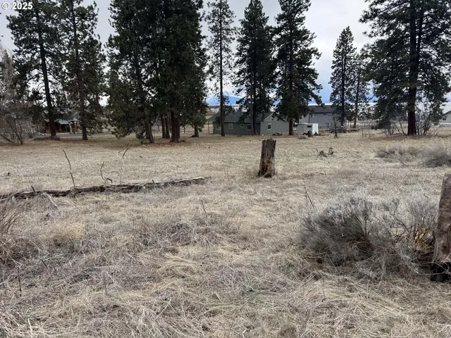 a view of a yard with trees