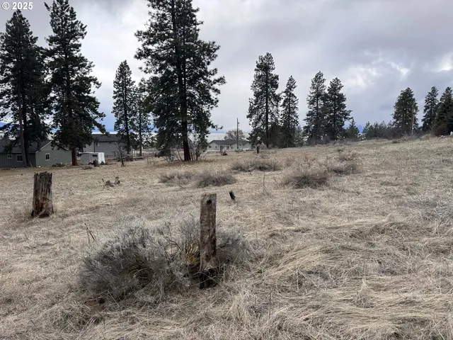a view of dirt field with trees in the background