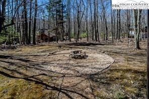 811 Pine Ridge Road Banner Elk, NC 28604 - Photo 30 of 35 a view of a backyard with large trees