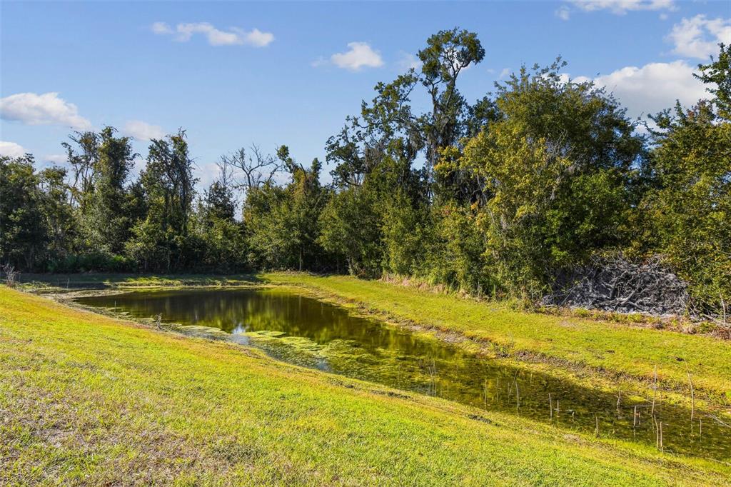 12907 Conquistador Loop Spring Hill, FL 34610 - Photo 56 of 74