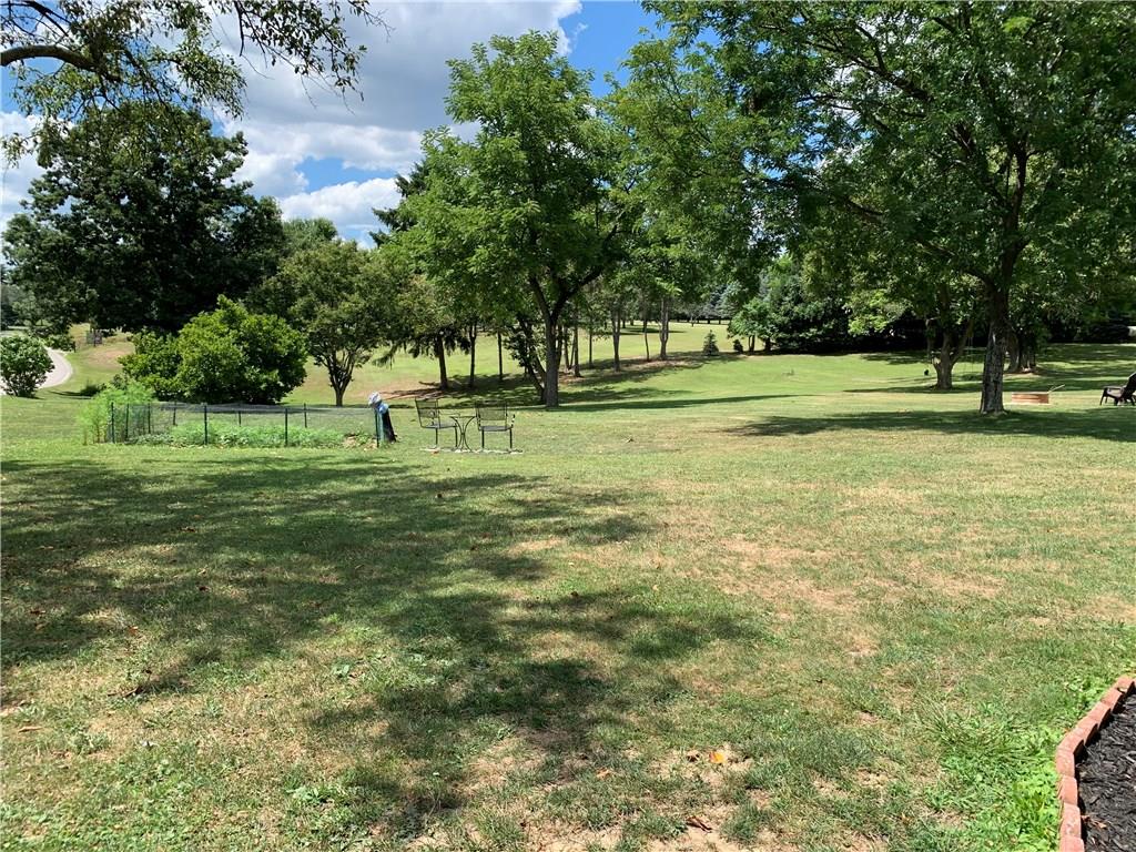 200 Fezell Road Freedom, PA 15042 - Photo 4 of 22 Strawberry patch! Yard extends all the way down to the pine trees.