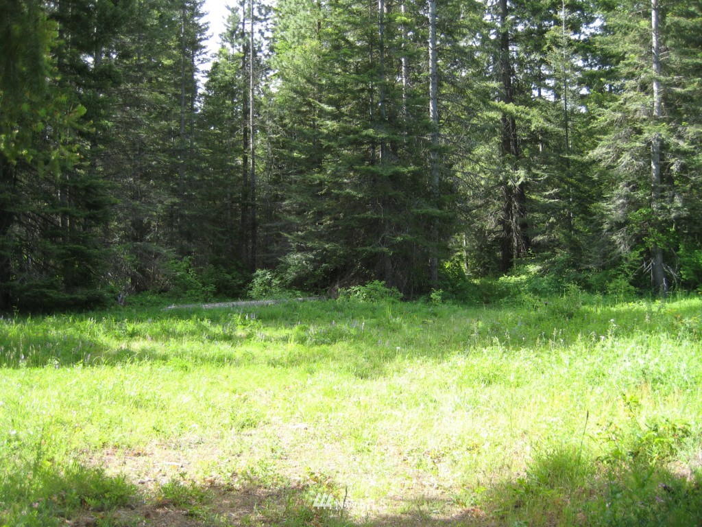 10227 Westside Road Cle Elum, WA 98922 - Photo 1 of 15 Gallery Image 1