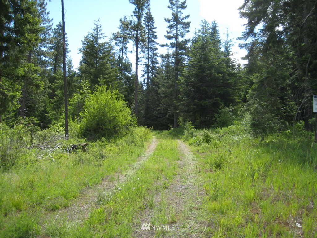 10227 Westside Road Cle Elum, WA 98922 - Photo 2 of 15 Gallery Image 2
