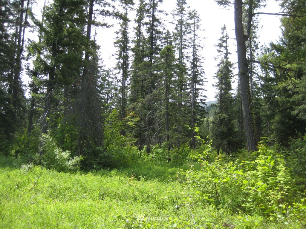 10227 Westside Road Cle Elum, WA 98922 - Photo 11 of 15 Gallery Image 11