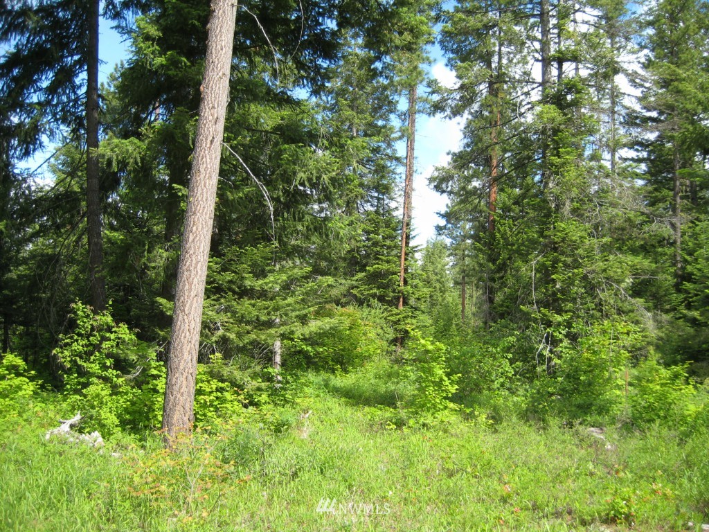 10227 Westside Road Cle Elum, WA 98922 - Photo 12 of 15 Gallery Image 12