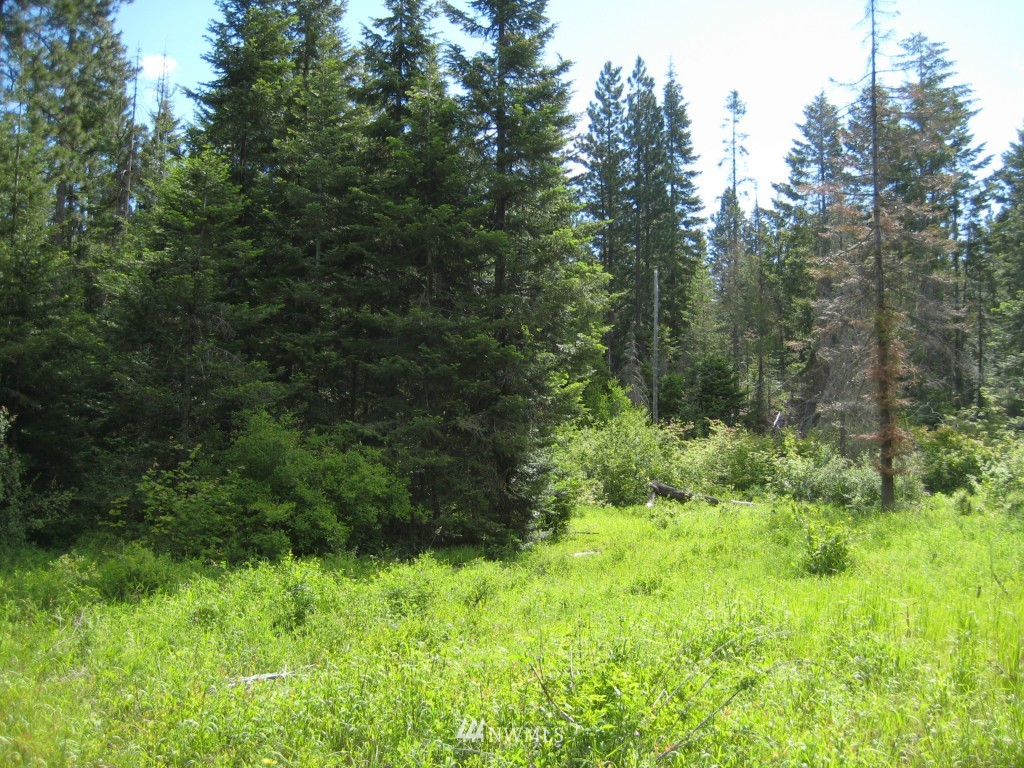 10227 Westside Road Cle Elum, WA 98922 - Photo 13 of 15 Gallery Image 13