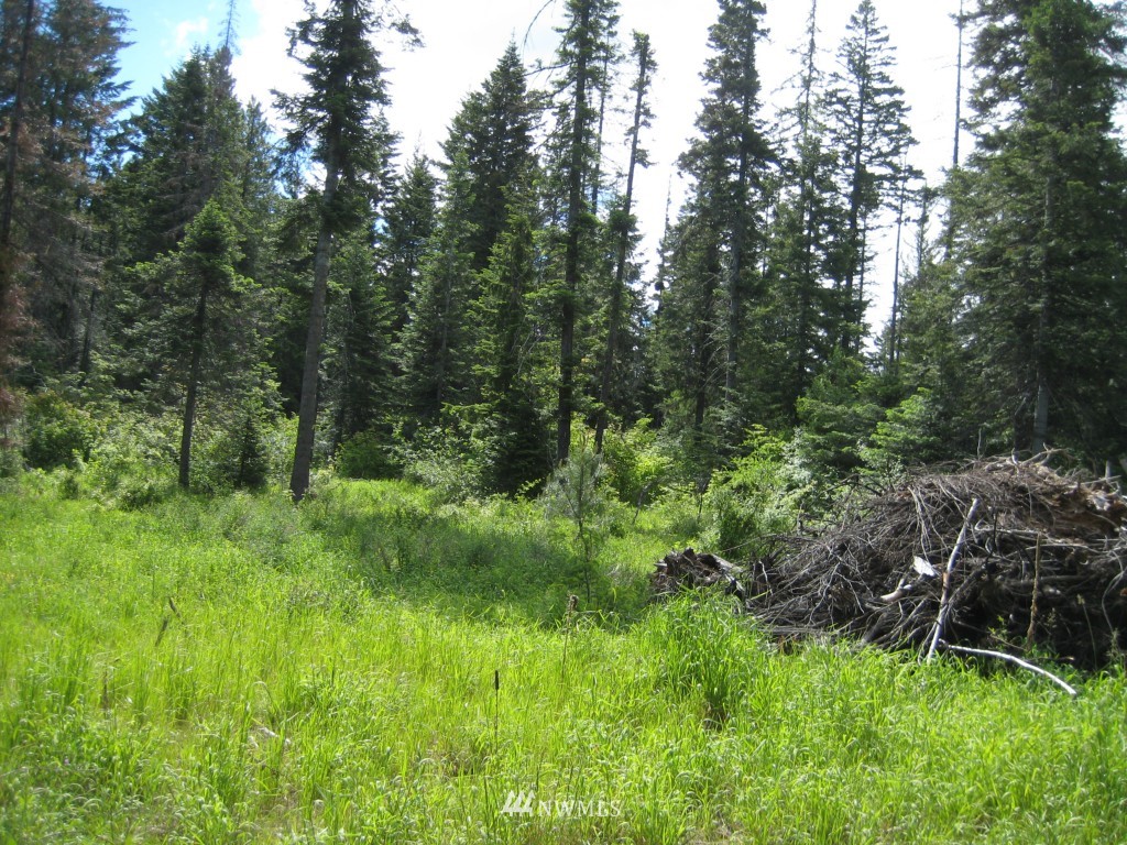10227 Westside Road Cle Elum, WA 98922 - Photo 14 of 15 Gallery Image 14