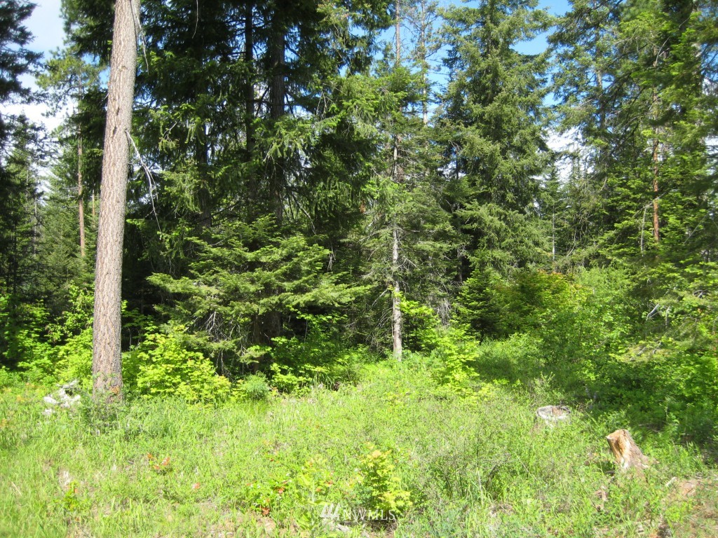 10227 Westside Road Cle Elum, WA 98922 - Photo 15 of 15 Gallery Image 15