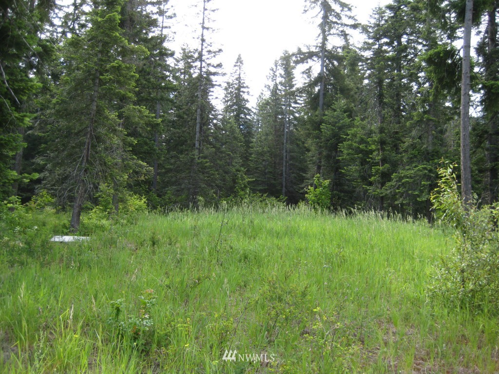 10227 Westside Road Cle Elum, WA 98922 - Photo 3 of 15 Gallery Image 3