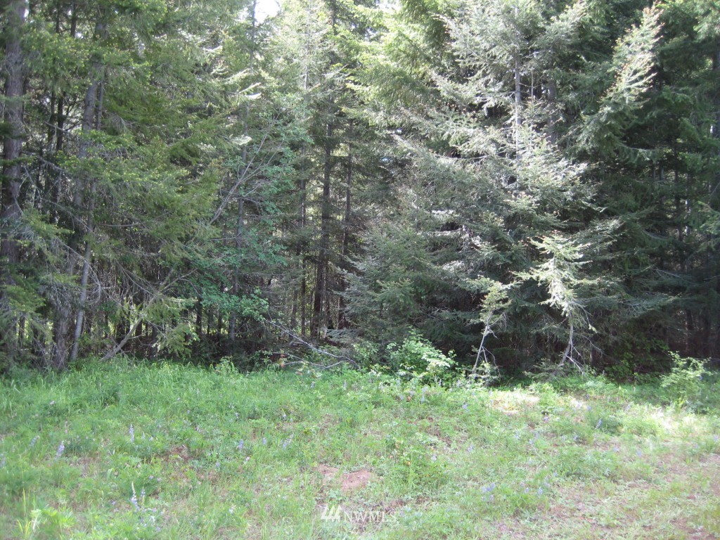10227 Westside Road Cle Elum, WA 98922 - Photo 4 of 15 Gallery Image 4