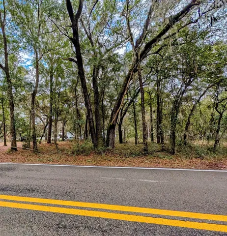 a view of yard with trees