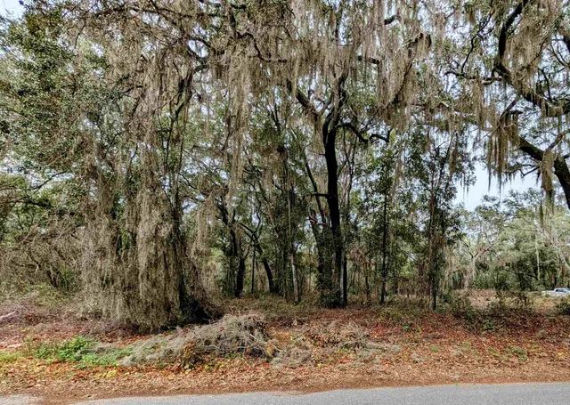 a view of a yard with large trees