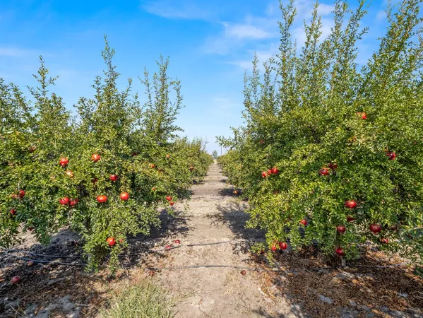a view of a lake with a ocean view