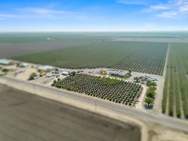 a view of path plants and trees