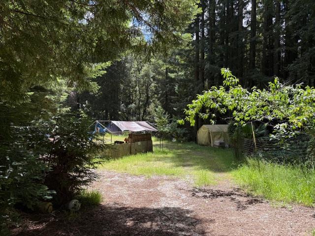 1701 Felton Quarry Road Felton, CA 95018 - Photo 10 of 13