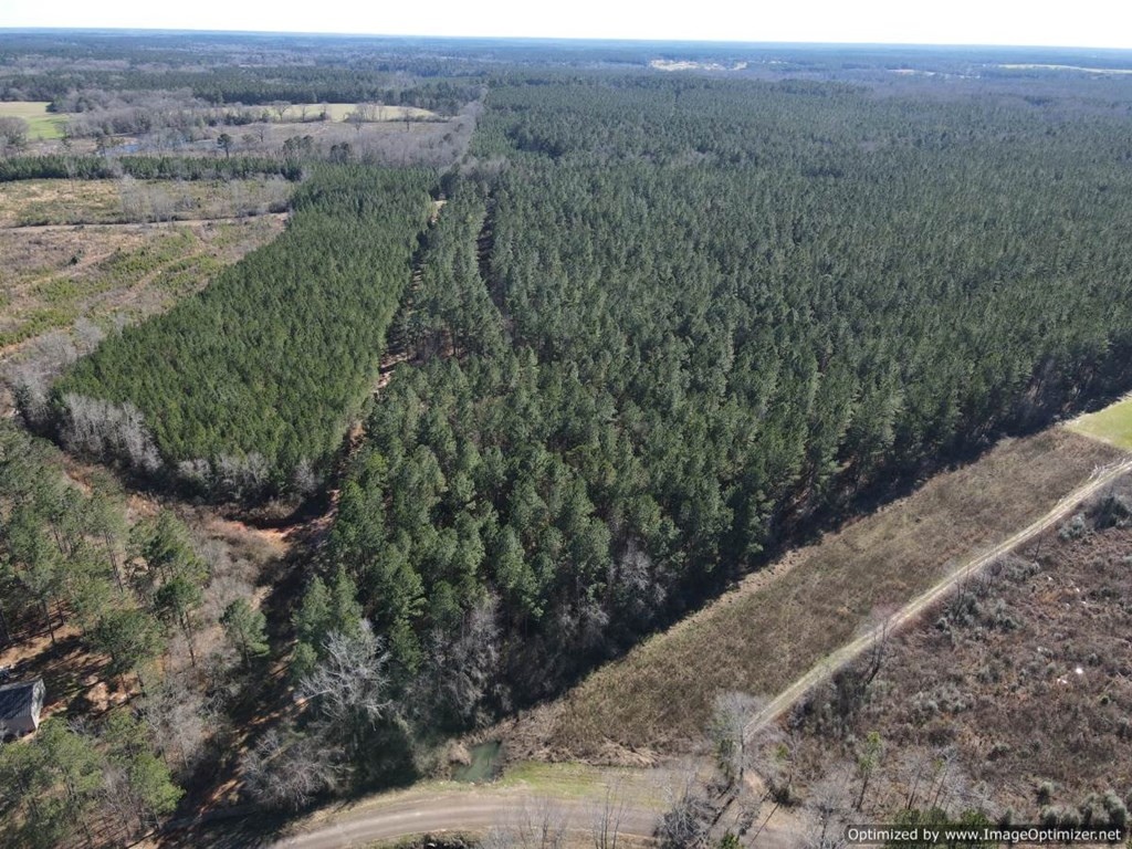 0 J J Carter Road Magnolia, MS 39652 - Photo 3 of 15 Photo 3