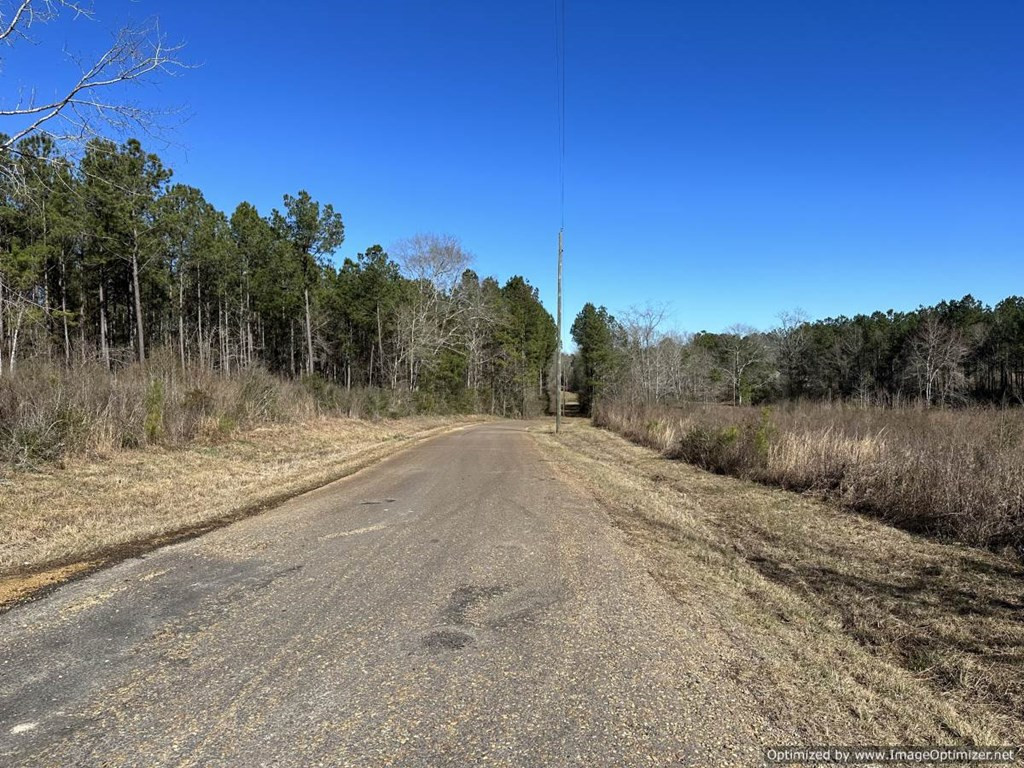 0 J J Carter Road Magnolia, MS 39652 - Photo 4 of 15 Photo 4