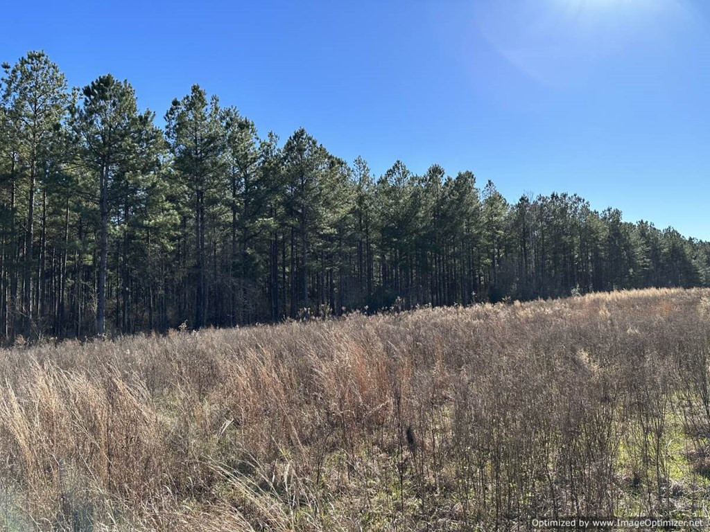 0 J J Carter Road Magnolia, MS 39652 - Photo 10 of 15 Photo 10