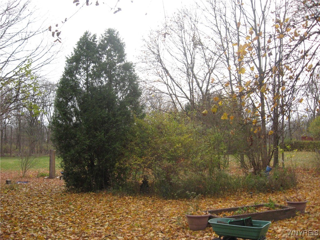 71 Summit Street Le Roy, NY 14482 - Photo 26 of 28