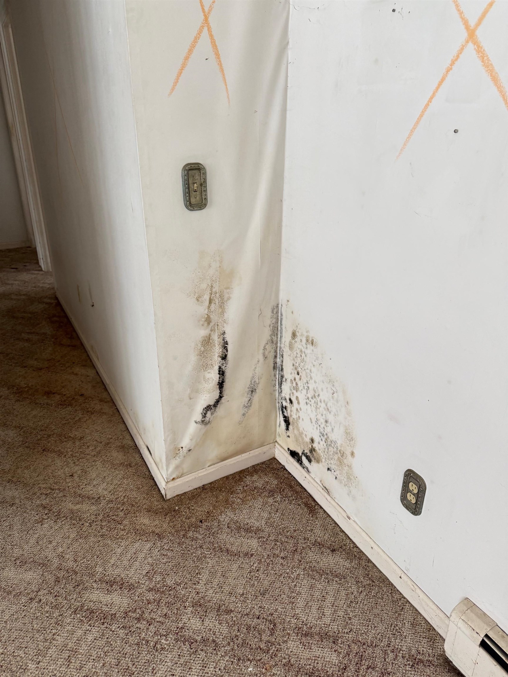 498 Burgey Farm Road Addison, VT 05491 - Photo 13 of 14