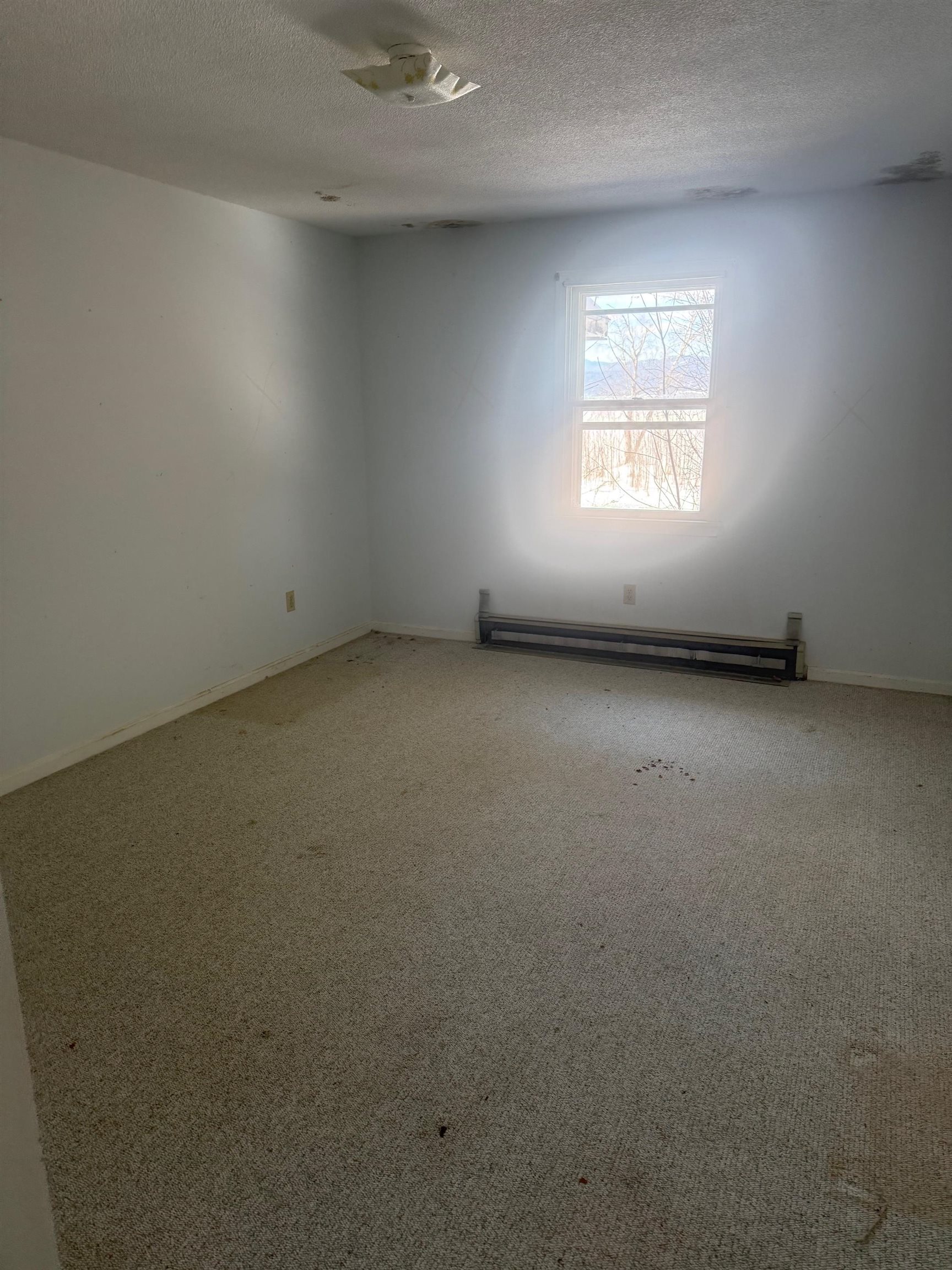 498 Burgey Farm Road Addison, VT 05491 - Photo 5 of 14