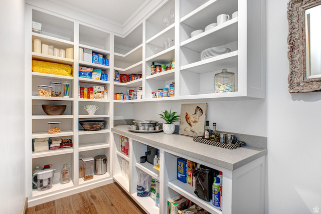 1282 Chimney Rock Road, Unit 344 Heber City, UT 84032 - Photo 21 of 55 Expansive pantry featuring extensive built-in shelving, white cabinetry, integrated countertop space, wood-finish flooring, and crown molding