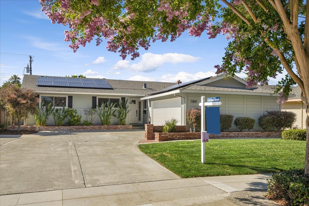 a front view of house with a garden