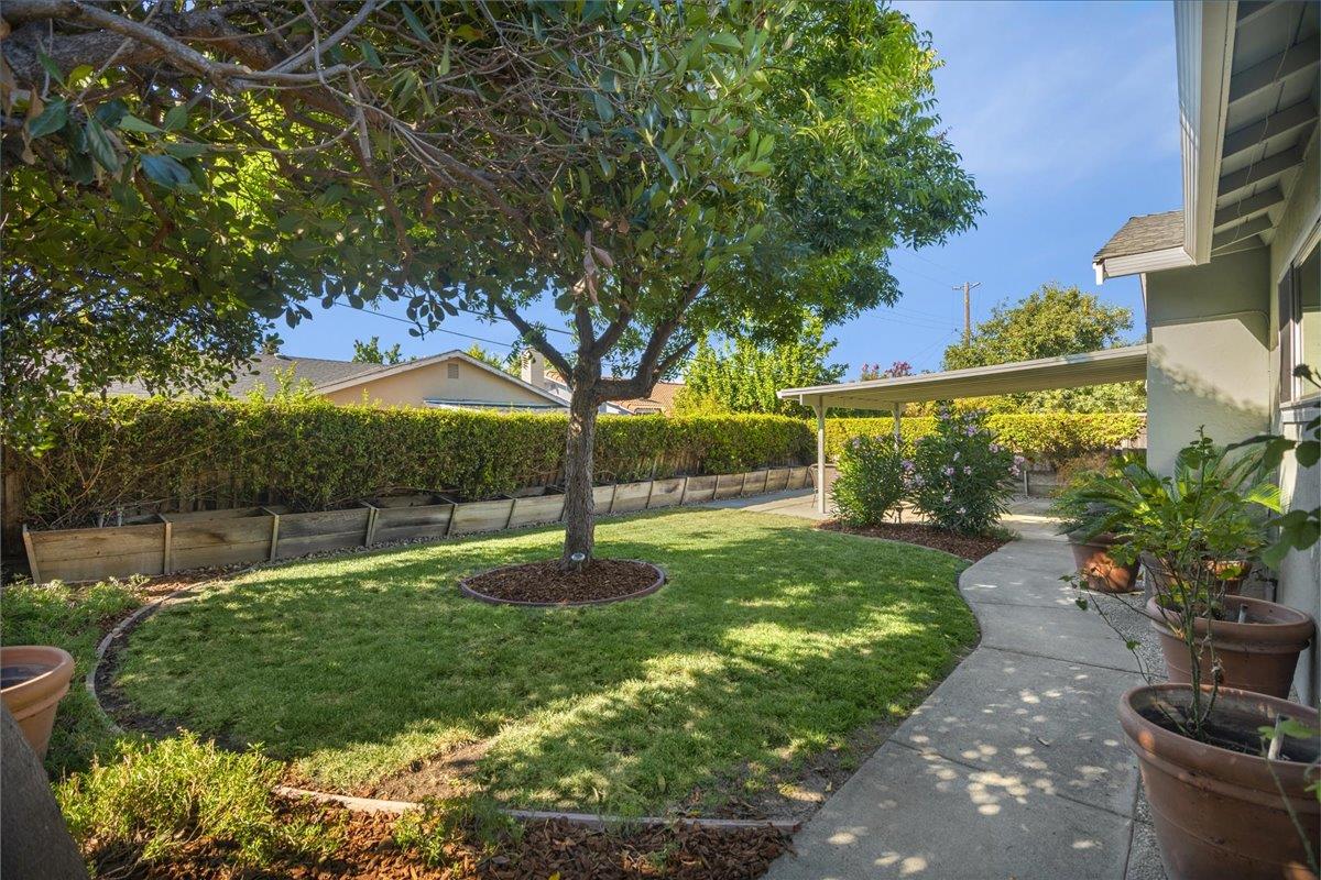 1069 Malott Drive San Jose, CA 95121 - Photo 30 of 32 a view of a backyard
