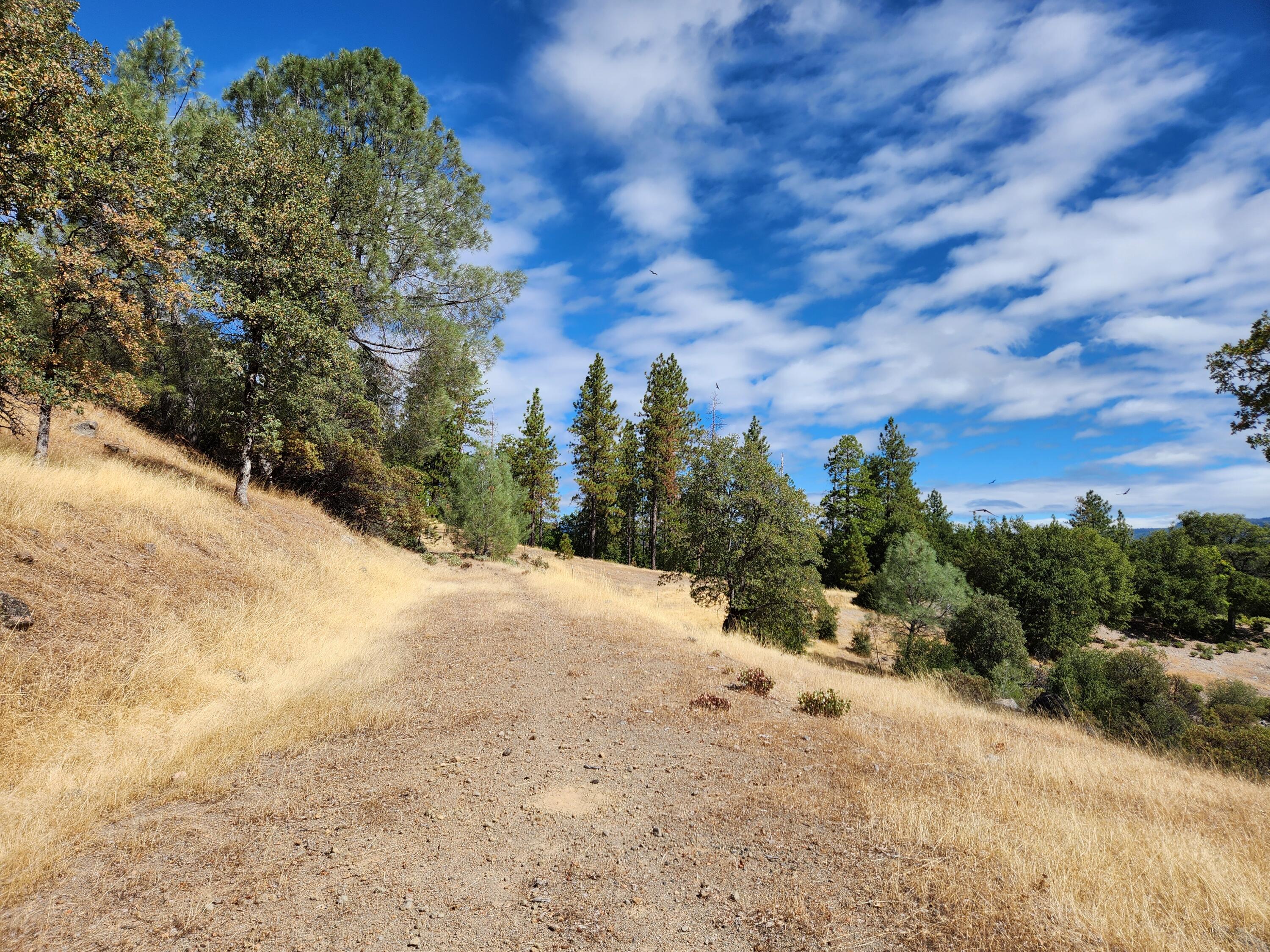 32415 Dickerson Road Whitmore, CA 96096 - Photo 50 of 53 20240911_114350