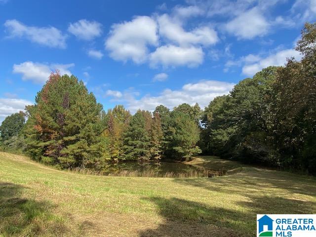 404 Kornegay Road Oneonta, AL 35121 - Photo 24 of 44