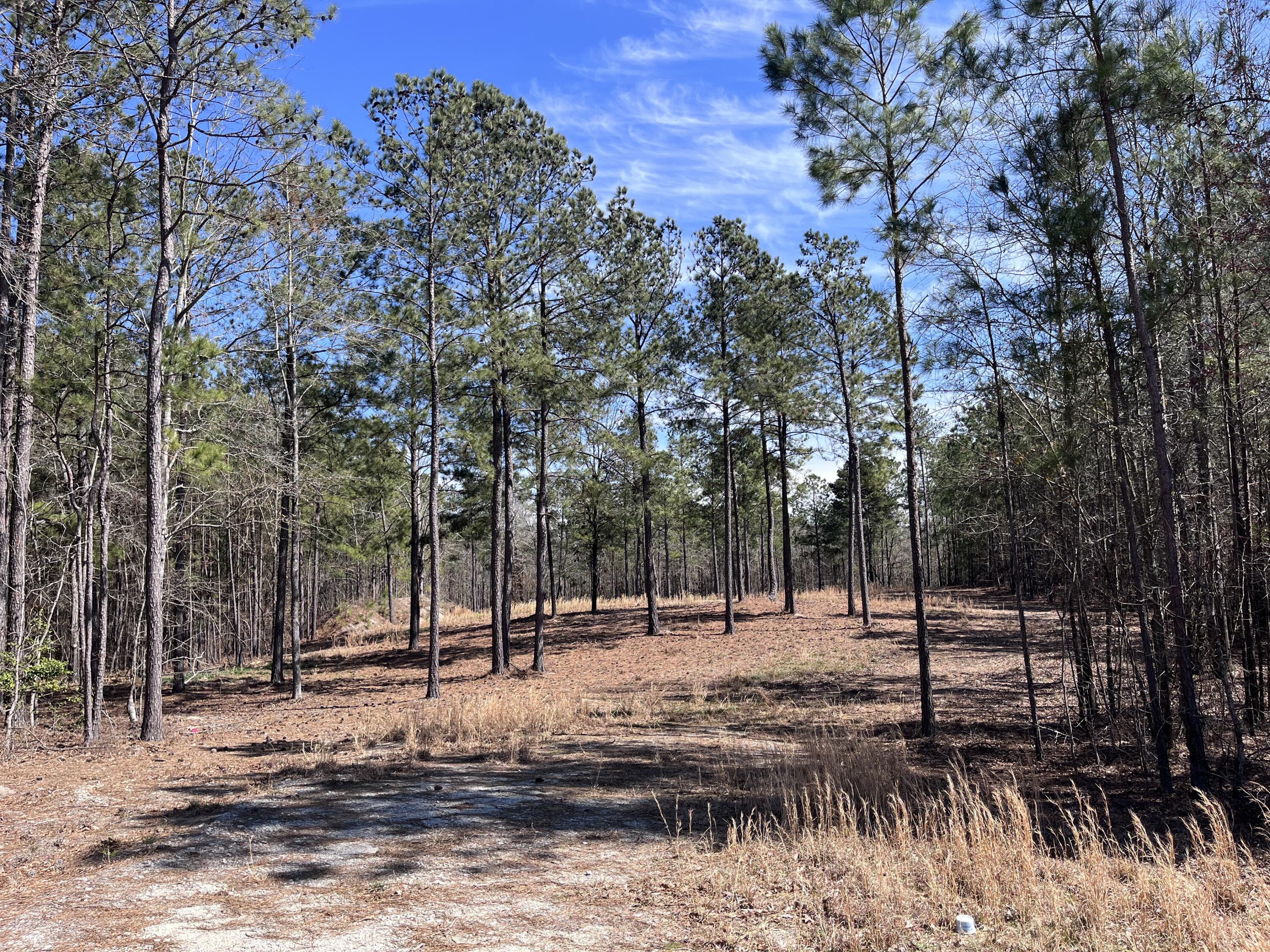 2296 Williams Road Thomson, GA 30824 - Photo 2 of 3 IMG_1768 - Wms Rd