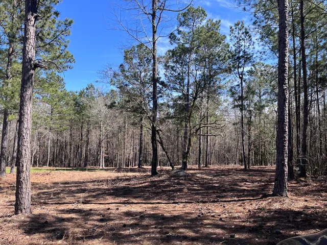 $124,900 | 2296 Williams Road, Thomson, GA 30824