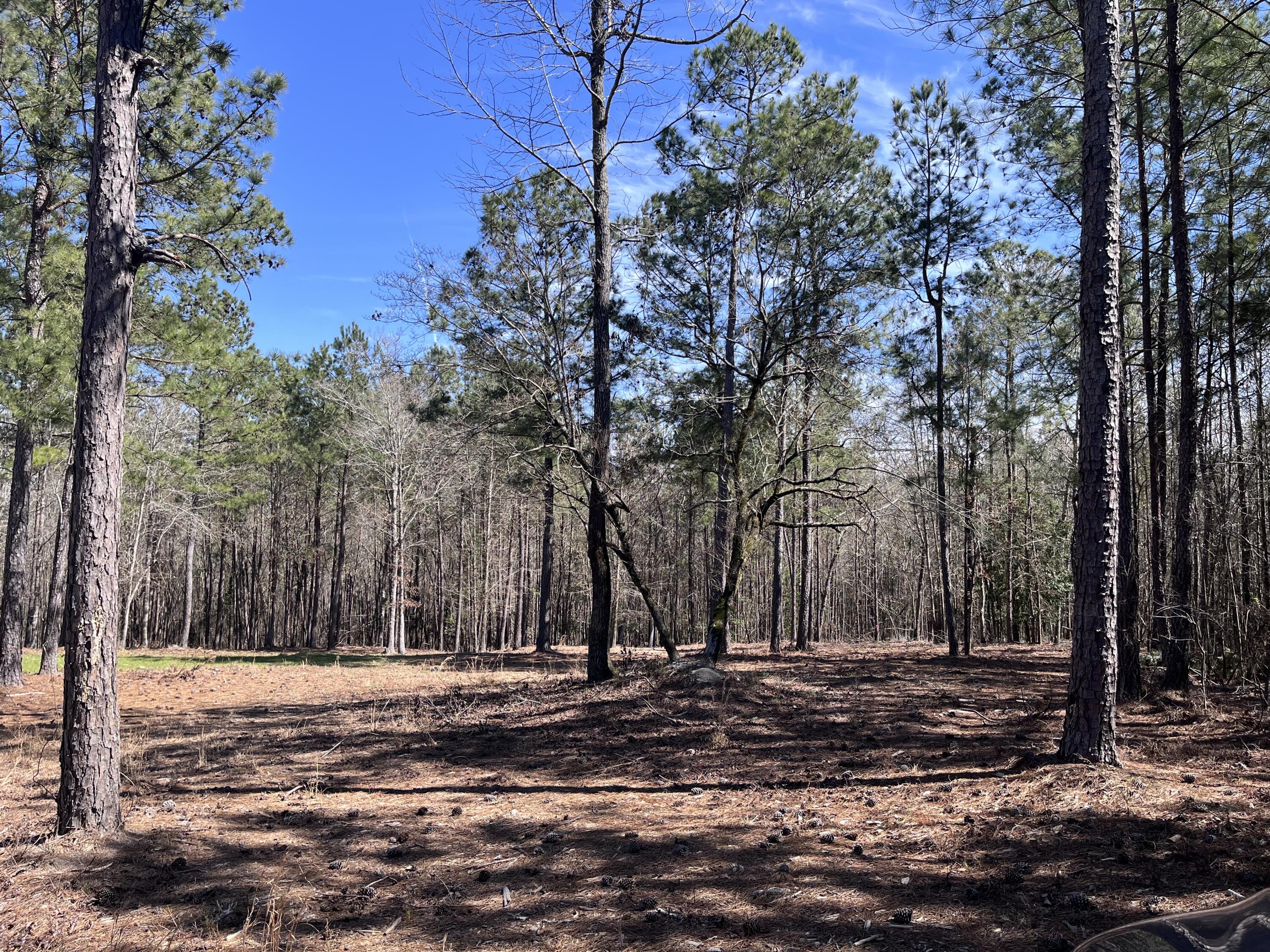 2296 Williams Road Thomson, GA 30824 - Photo 3 of 3 IMG_1774 - Wms Rd