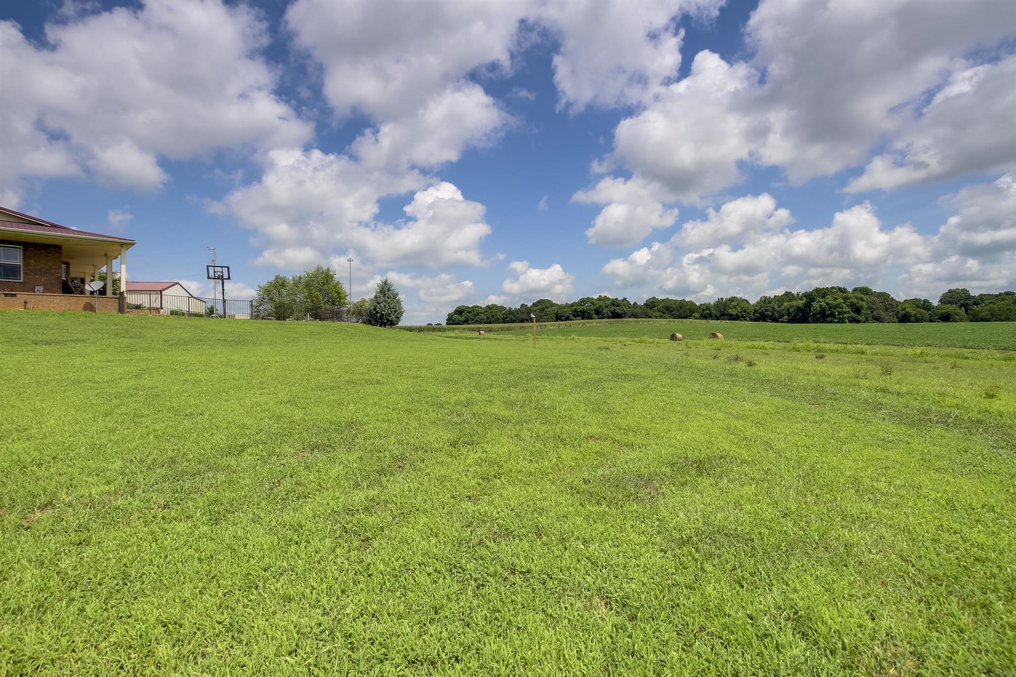 4599 Gamble Road Cedar Hill, TN 37032 - Photo 5 of 25 a view of a big yard with an tree and wooden fence