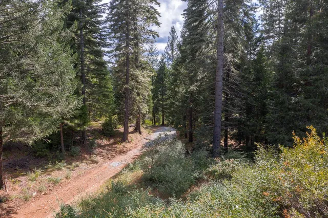 a view of a mountain range with lush green forest