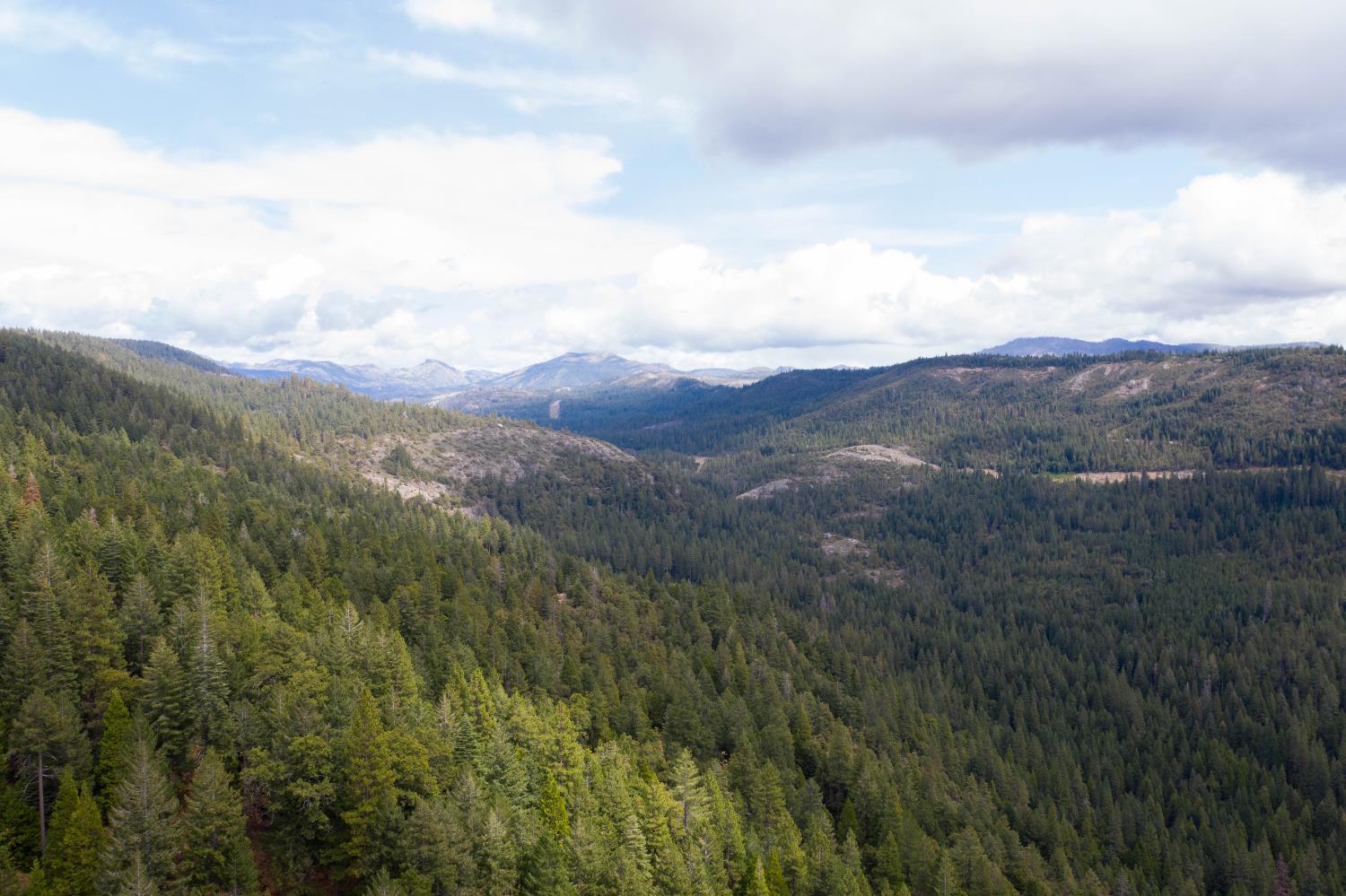 11023 Lowell Hill Road Nevada City, CA 95959 - Photo 5 of 5 a view of a mountain range with lush green forest