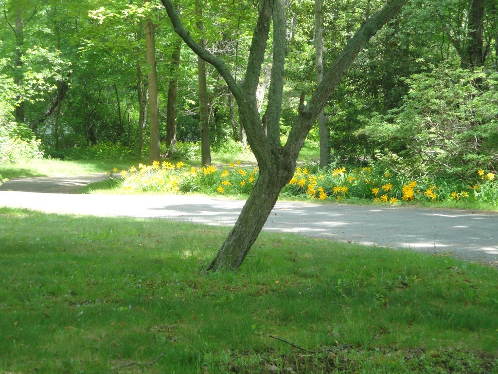 3 Norwoods Pond Road Beverly, MA 01915 - Photo 22 of 23