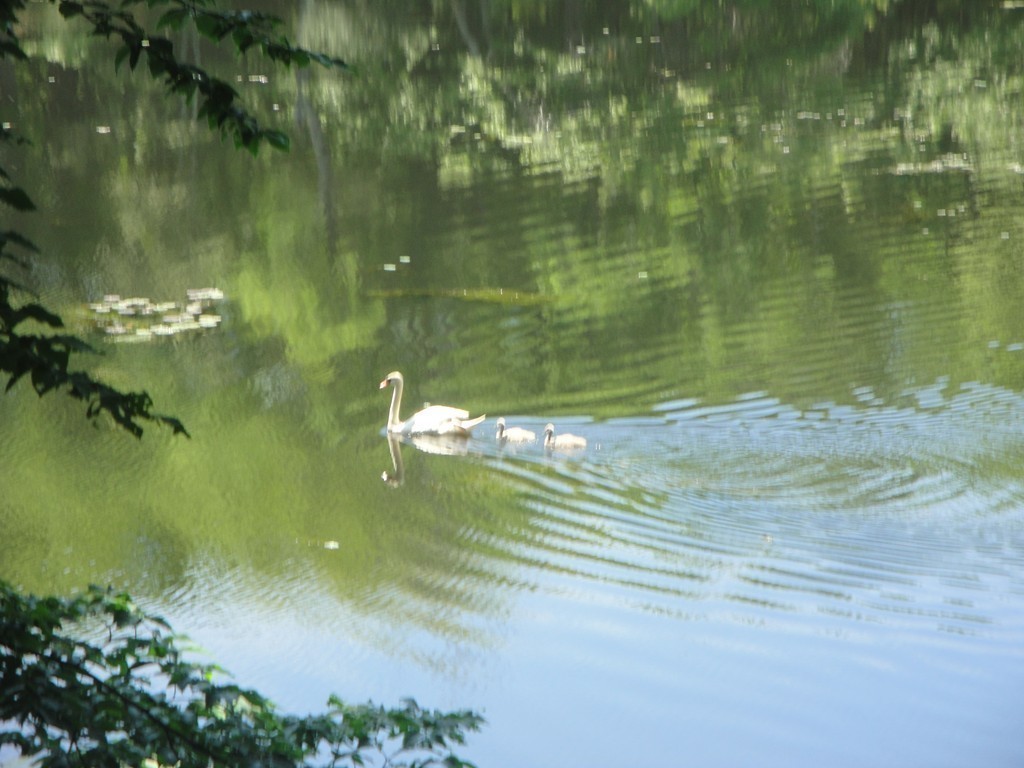3 Norwoods Pond Road Beverly, MA 01915 - Photo 3 of 23
