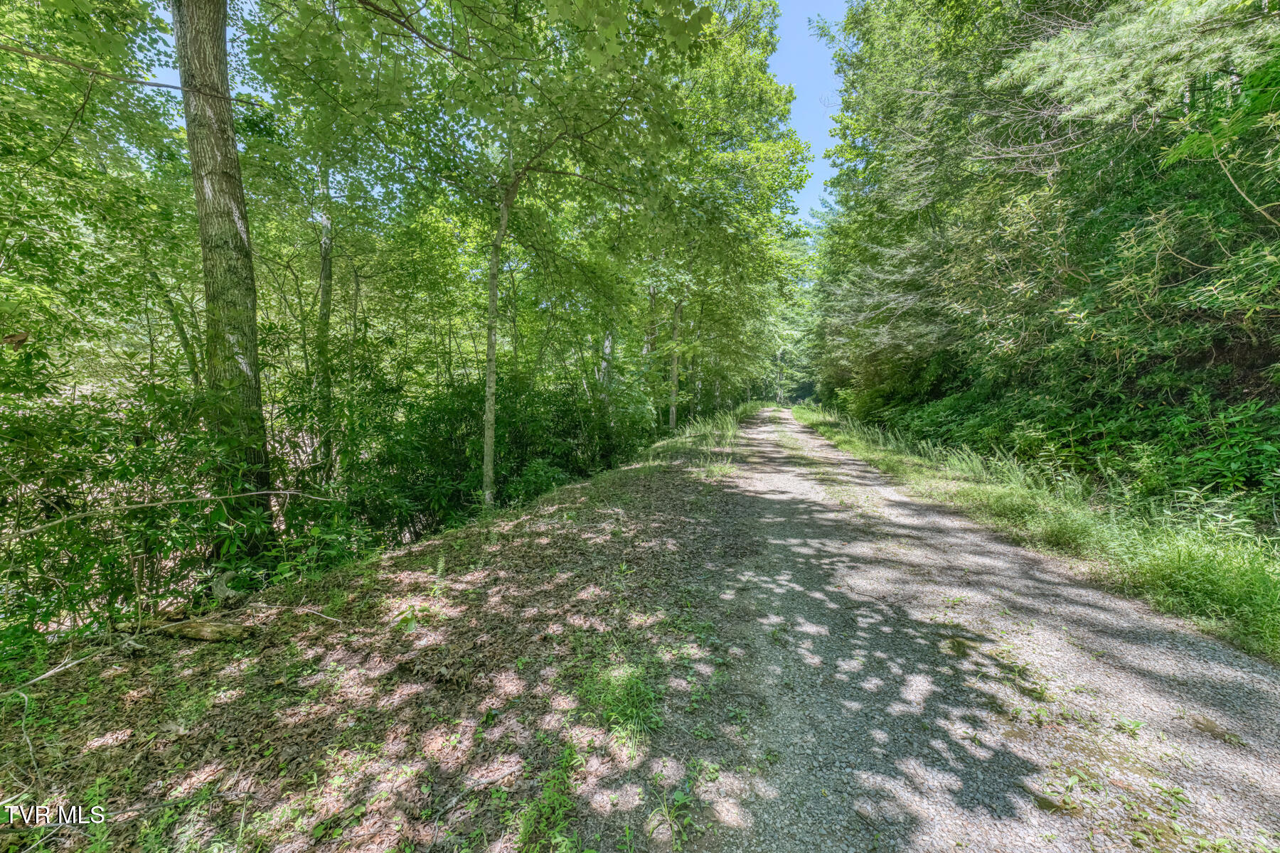 Tbd Bailey Hollow Road, Unit 4 Erwin, TN 37650 - Photo 3 of 49 TBD Bailey Hollow Rd-51
