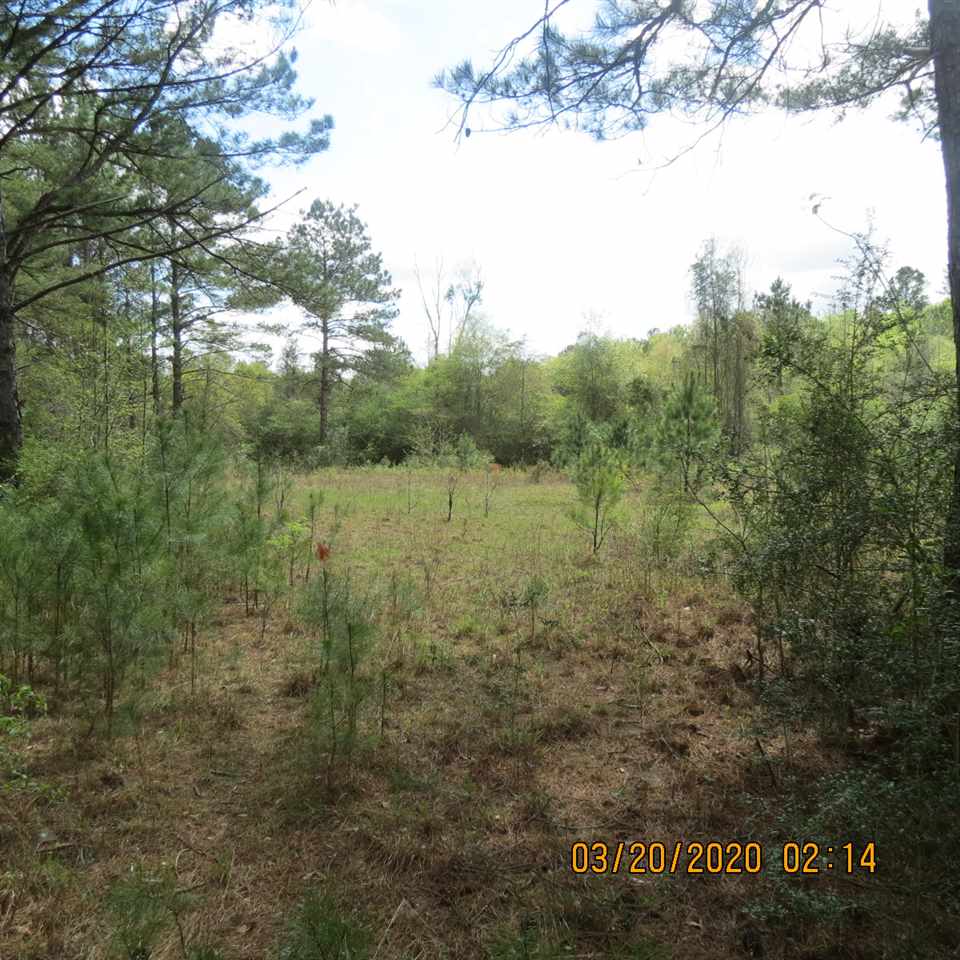 0 Potter Road Andalusia, AL 36421 - Photo 3 of 12 Gallery Image 3