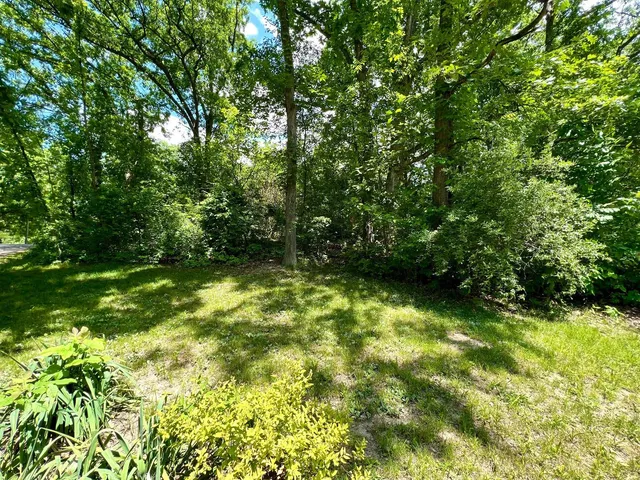 a view of yard from a backyard