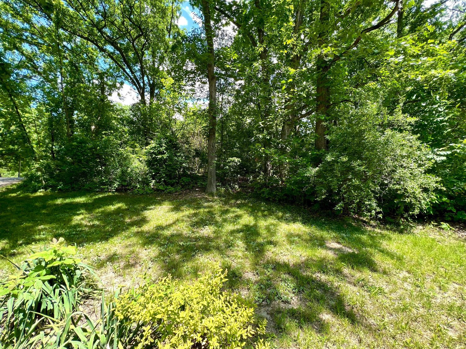0 Spectacle Drive Valparaiso, IN 46383 - Photo 3 of 3 a view of yard from a backyard