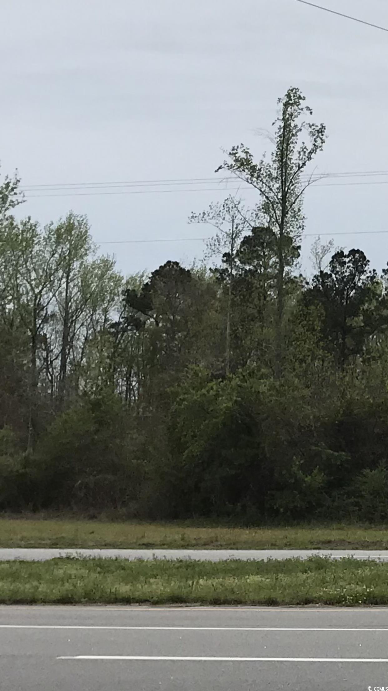 9 Highway 9 Loris, SC 29569 - Photo 2 of 4