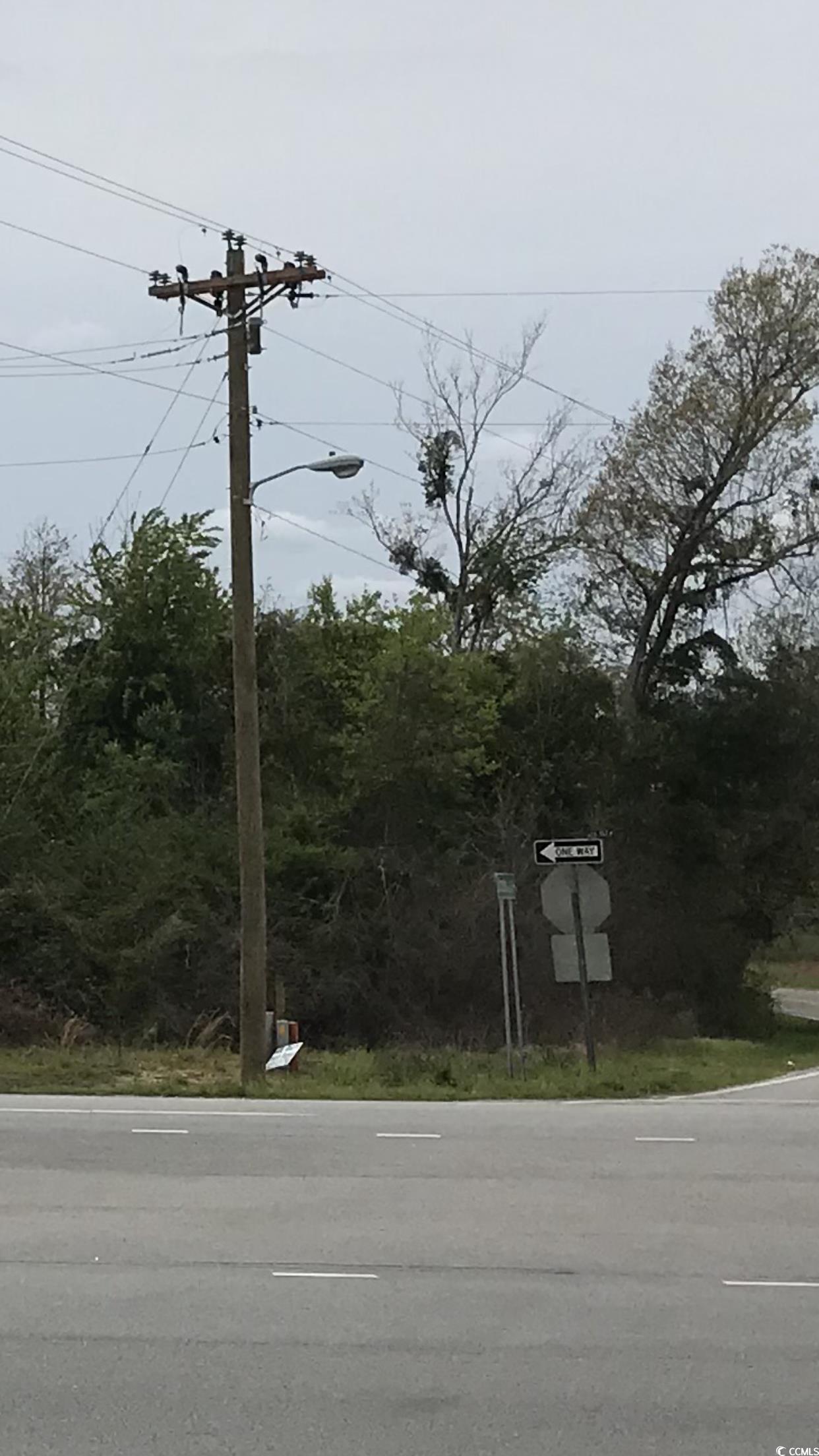 9 Highway 9 Loris, SC 29569 - Photo 3 of 4