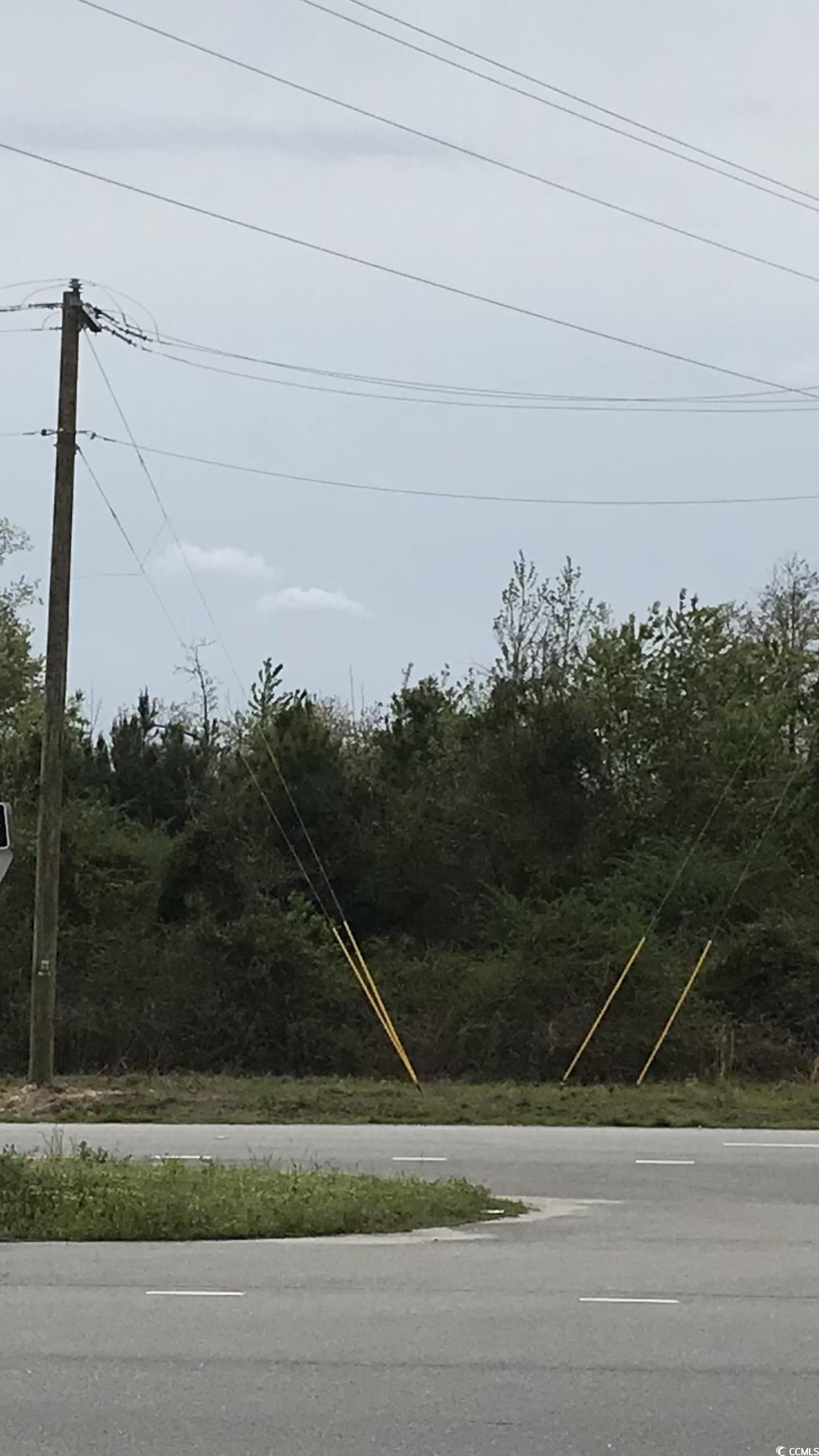 9 Highway 9 Loris, SC 29569 - Photo 4 of 4