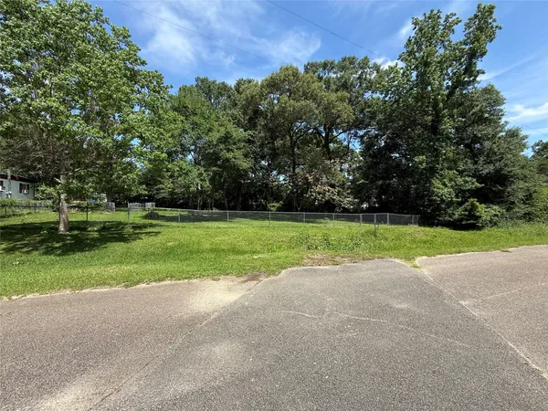 a view of a park with large trees