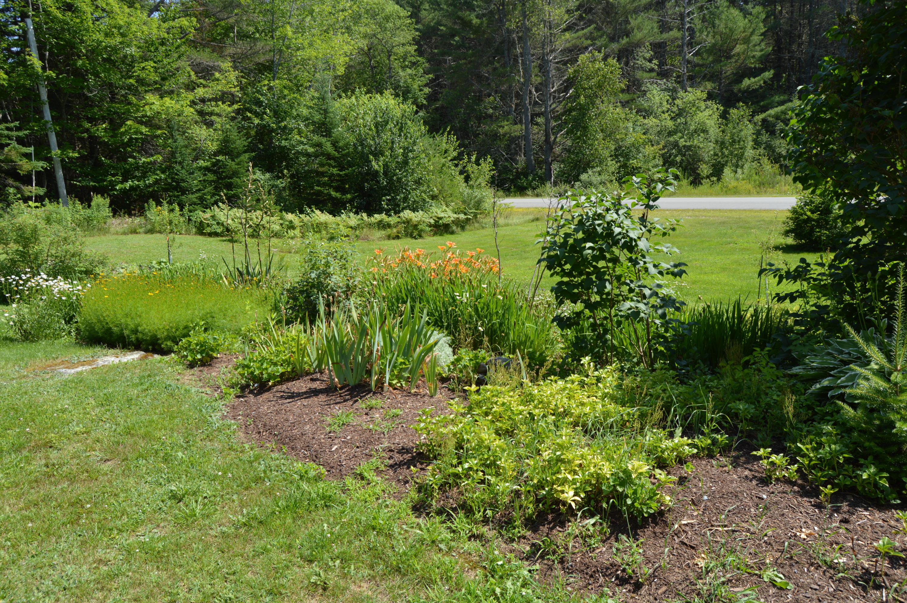431 Muskrat Farm Road Stockton Springs, ME 04981 - Photo 27 of 40 DSC_2126