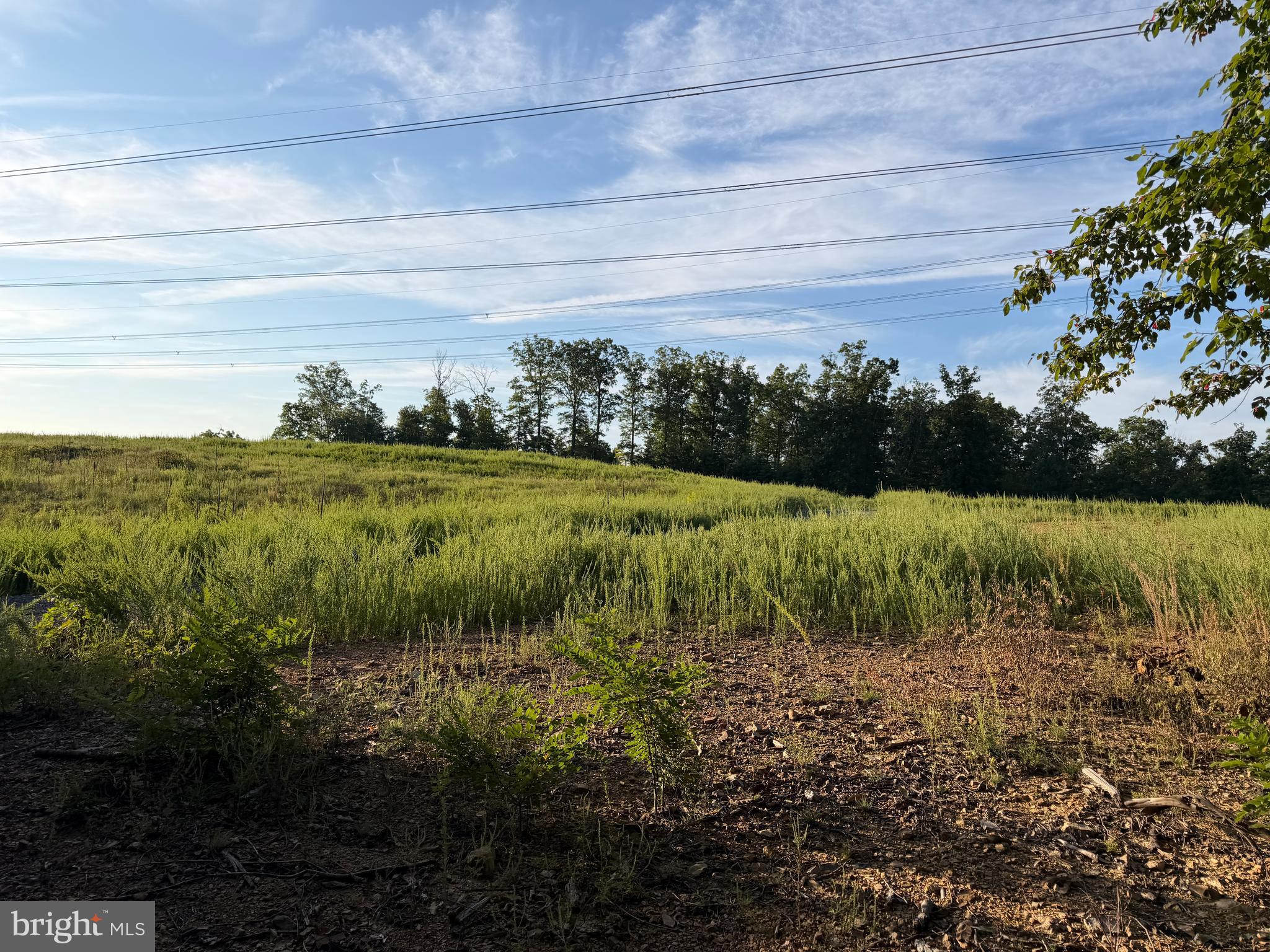 2 158.43 /- Acres Laurel Grove Road Winchester, VA 22602 - Photo 22 of 37 Gallery Image 22