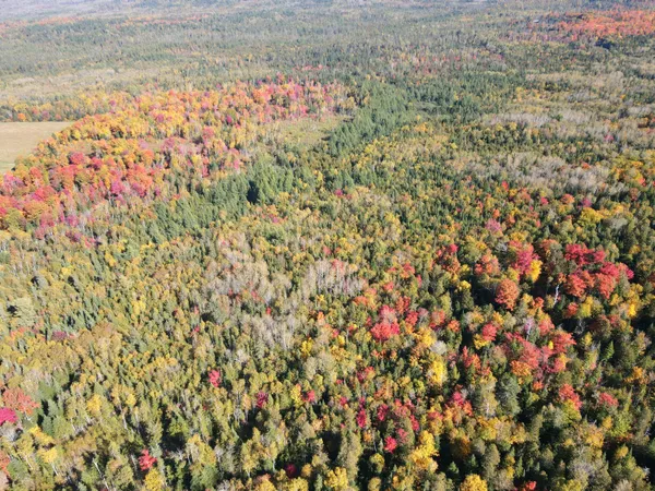 $199,900 | Lot 97 New Sweden Road, New Sweden, ME 04762